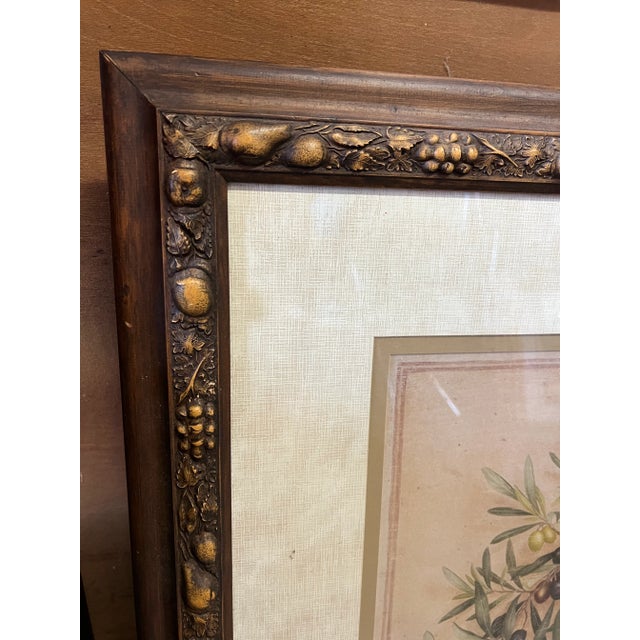Framed art of an olive tree branch. Signed by French botanical artist Vincent Jeannerot . The wood frame compliments the...