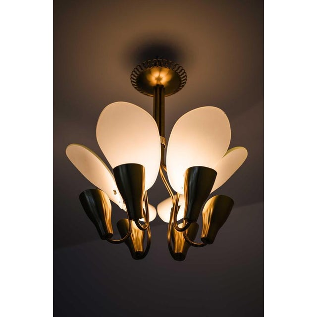 Metal Scandinavian Ceiling Lamp in Opaline Glass and Brass by Carl Fagerlund, 1950s For Sale - Image 7 of 13