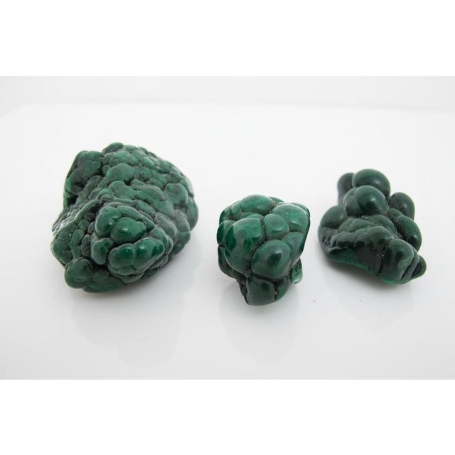 Botryoidal Malachite specimen trio, often referred to as "malachite brain" due to its nodular, bubbly texture. Three small...