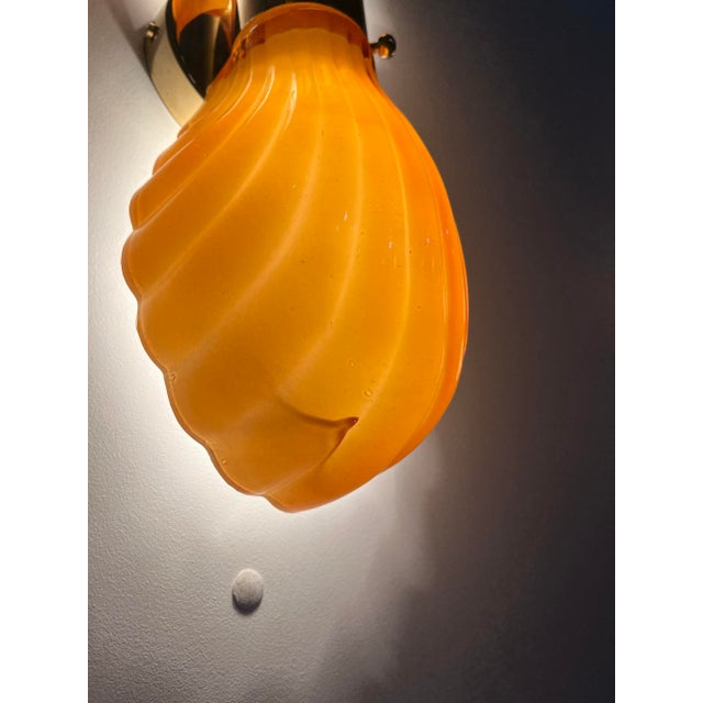 Italian Shell Wall Lights, 1970s, Set of 2 For Sale - Image 12 of 14