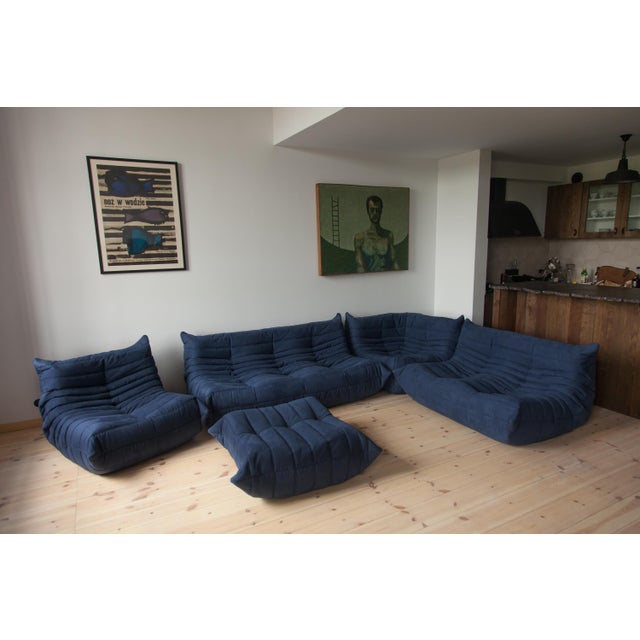 Blue Microfiber Togo Living Room by Michel Ducaroy for Ligne Roset, 1970, Set of 5 For Sale - Image 10 of 17