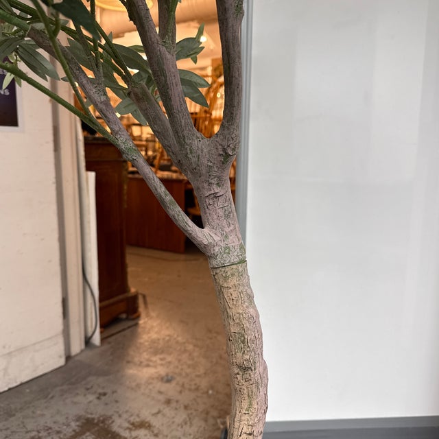 Green Faux Olive Tree + White Planter For Sale - Image 8 of 12