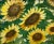Angela Wakefield Golden Yellow Sunflowers Study on Green Background by Contemporary Artist, 2023 For Sale - Image 9 of 12