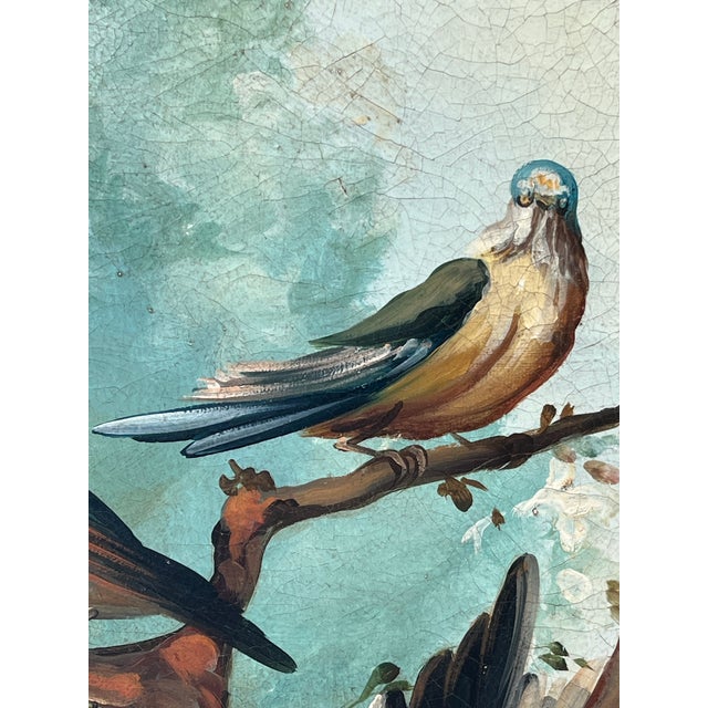 Mid-20th Century Large Ornithological Oil Painting of Songbirds by Ira Monte. For Sale In West Palm - Image 6 of 12