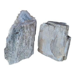 Petrified Wood Bookends - Set of 2 For Sale