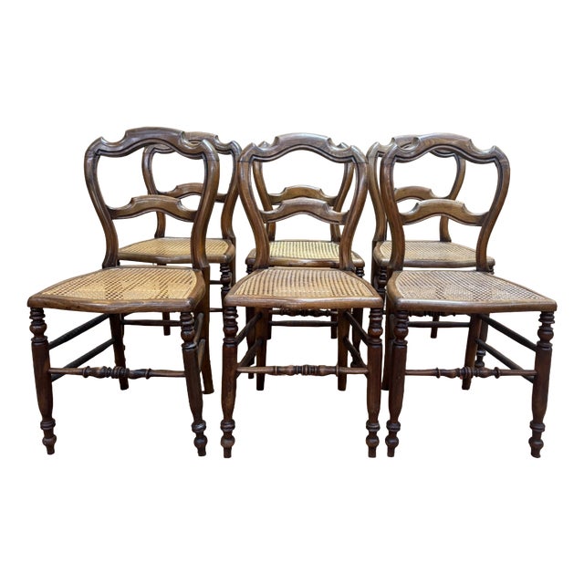 Antique Louis Philippe Caned Walnut Chairs, 1800s, Set of 6 For Sale