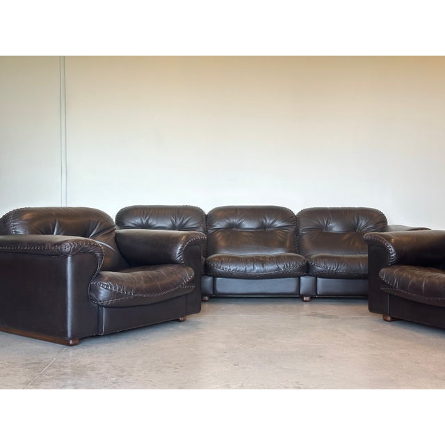 Leather Model DS 101 Armchairs from de Sede, 1970s, Set of 2 For Sale - Image 12 of 13