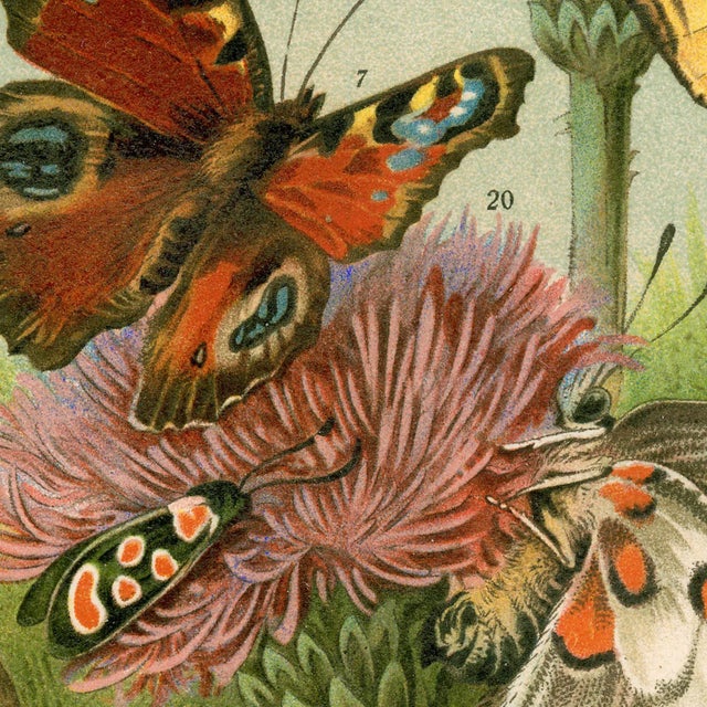 I love to breathe new life into old images. This handmade wall hanging features a reproduction of a wonderful graphic...