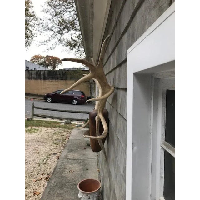 1990s Elk Head Wood and Antler Trophy Wall Decor For Sale - Image 10 of 10