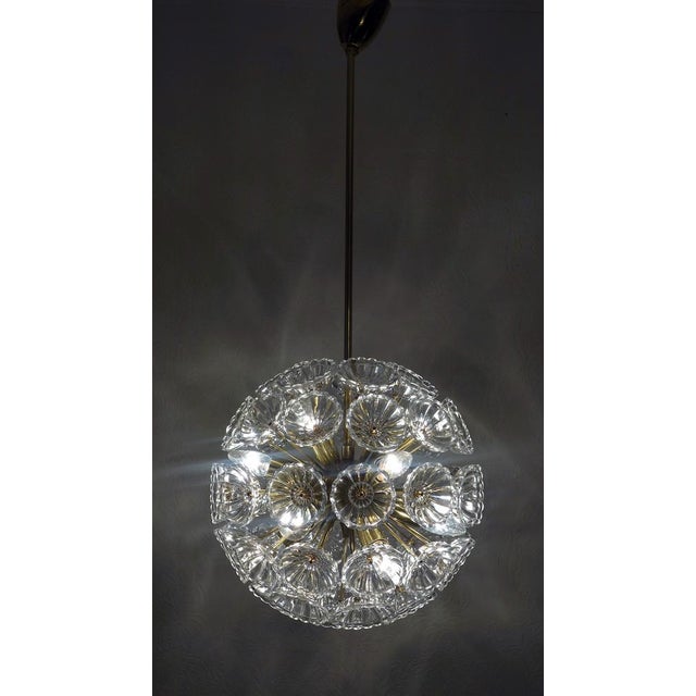 Dandelion Hanging Lamp with Glass Flowers and Brass, 1950s For Sale - Image 14 of 18