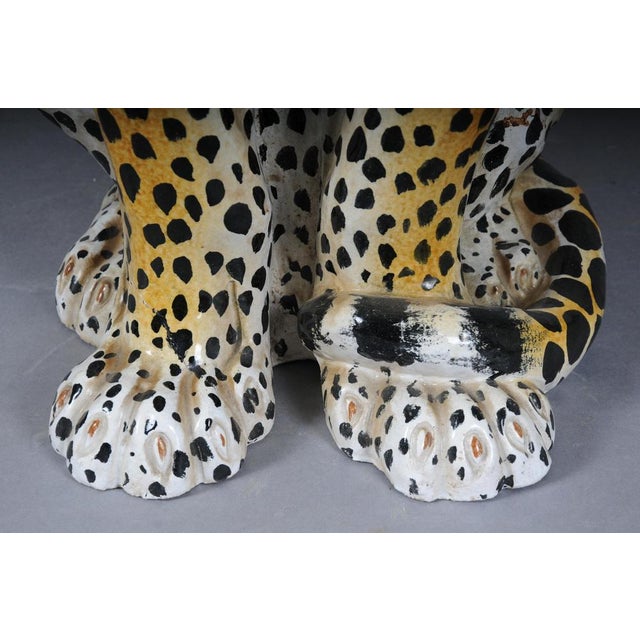 Leopard with Broken Foot For Sale - Image 14 of 18