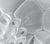 1930s Pair of Art Deco Bowl Chandeliers With Floral Motifs For Sale - Image 9 of 10