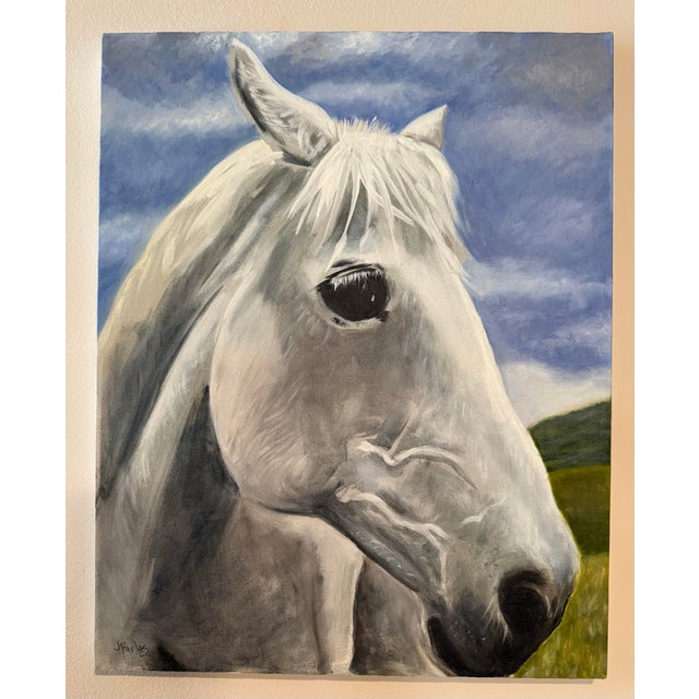 Large realistic oil painting of a gentle white horse by Texas artist, Jill Pavlas. Painted on wrapped canvas.