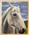 Large realistic oil painting of a gentle white horse by Texas artist, Jill Pavlas. Painted on wrapped canvas.