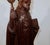 Statue of Christ, 1890s, Chestnut For Sale - Image 14 of 18