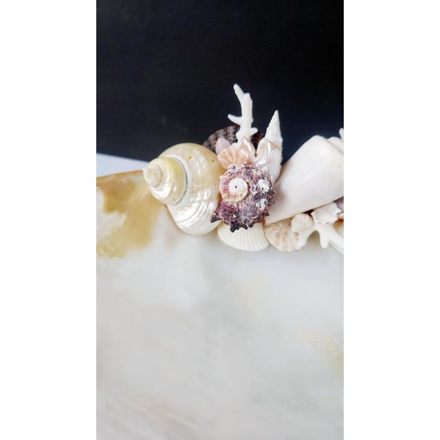 Gemstone Handcrafted Oyster Shell Tray With Vintage Seashell Specimens & Biwa Pearls — Coastal Sculptural Object For Sale - Image 7 of 12