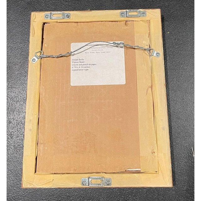 Joseph Stella (American, 1877–1946) Floral Study, Pencil and Crayon on Paper For Sale In New York - Image 6 of 8