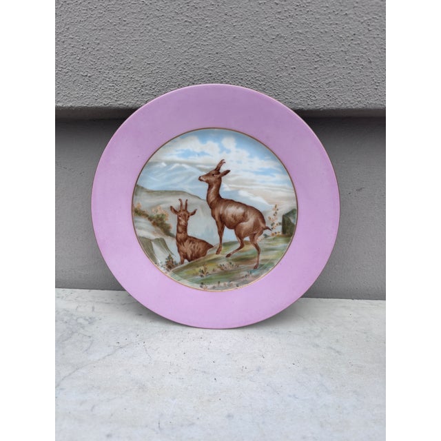 Ceramic Rare French Porcelain Set of 8 Wild Animals Plates Haviland Limoges Circa 1890 For Sale - Image 7 of 12