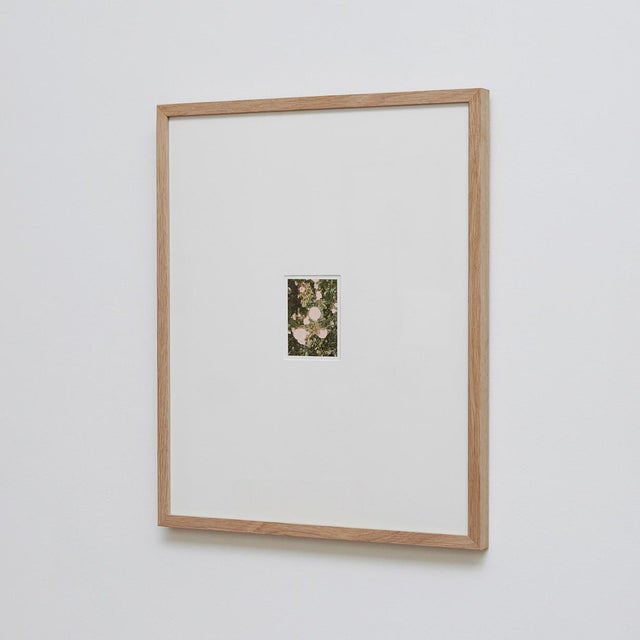 The Rose Garden Nº 32 Print by David Urbano, 2018 For Sale - Image 9 of 9