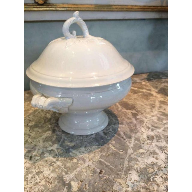 19th century faux bois French tureen with lid. In perfect condition