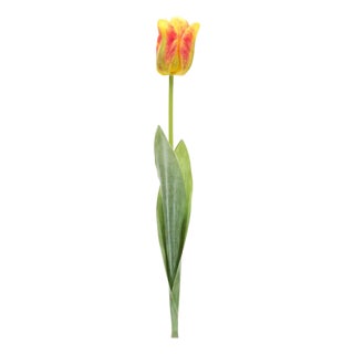 Tulip Floral Stem (Set of 6) For Sale