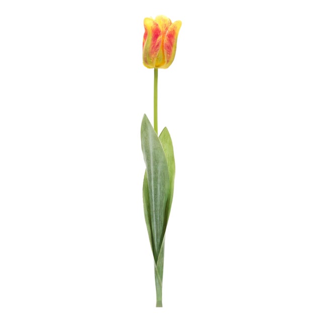 Tulip Floral Stem (Set of 6) For Sale