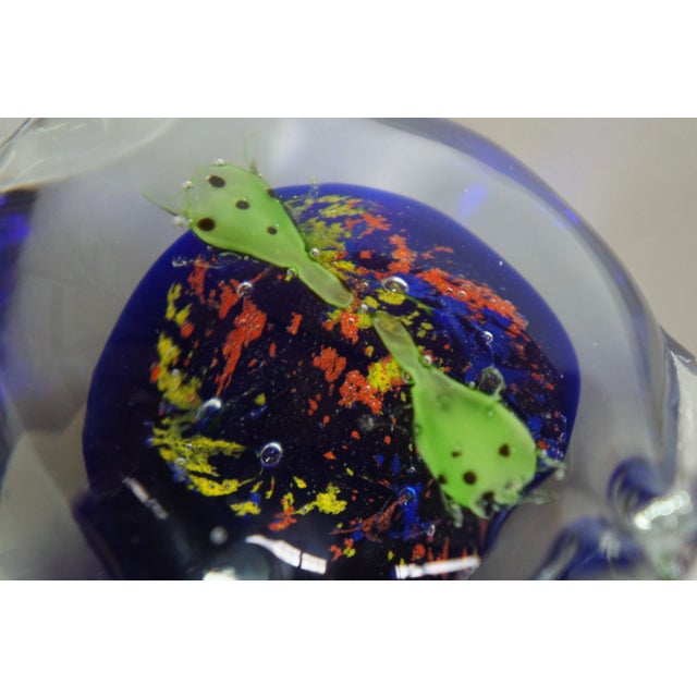 Vintage Italian Art Glass Sea Turtle Aquarium Paperweights - a Pair For Sale - Image 10 of 13