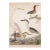 Large Antique Coastal Bird Print, 1800s, 24" X 30" For Sale