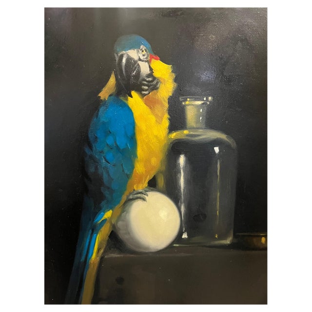 Luisa Albert, The Intruder Macaw Parrot, Oil Painting, 2018 For Sale
