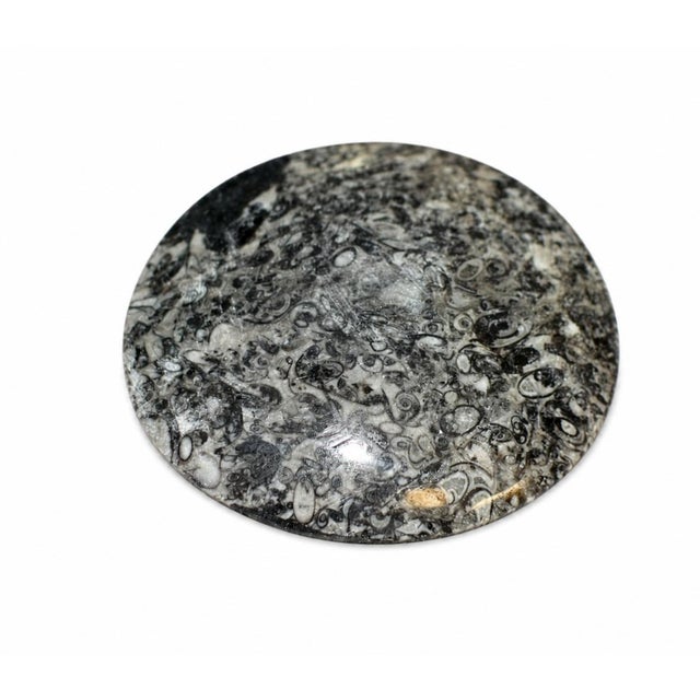 Stone Pair Ammonite Plates Fossil Millions Years Natural Finely Crafted For Sale - Image 7 of 13
