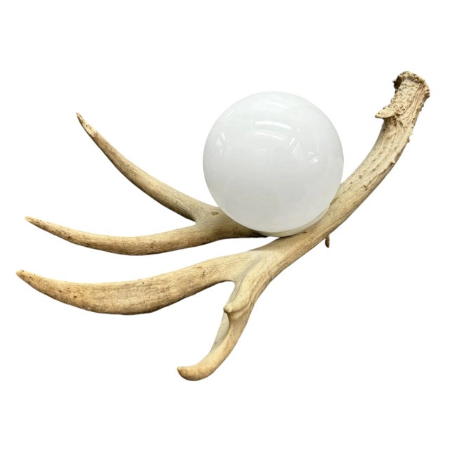 Deer Antler Lamp For Sale In Chicago - Image 6 of 12