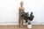 This commanding 63-inch statue is a rare and significant example of Baule sculptural art from the Ivory Coast. In Baule...
