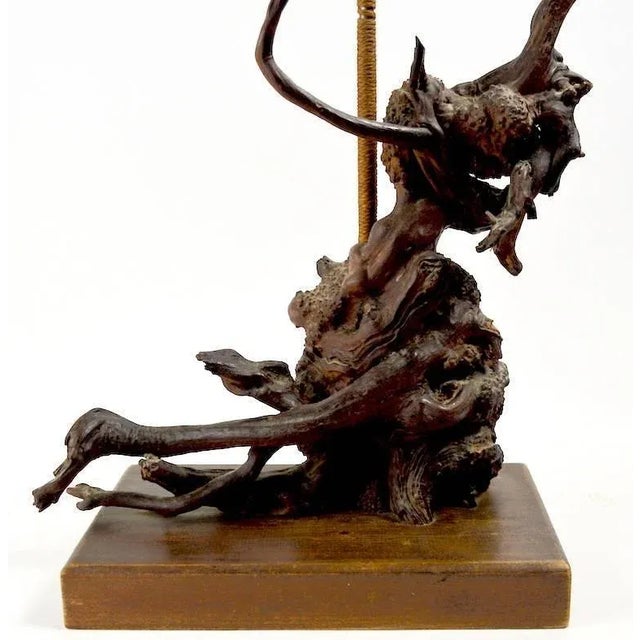 Sculptural Driftwood Lamps - a Pair For Sale - Image 4 of 11