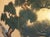 Goldenrod 1960s "Evergreen Pine Tree", Shōwa Era Japanese Byobu Screen For Sale - Image 8 of 18