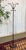 Metal English Coat Rack in Chromed Metal, 1970s For Sale - Image 7 of 7
