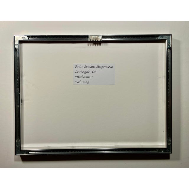 2020s Original Herbarium by Artist Svitlana Shapovalova For Sale - Image 5 of 6