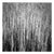 Paul Cooklin, Photograph-Quxpxgjv, Water Reeds, Lopham Fen, Suffolk, Edition of 50 For Sale