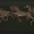 Gold 1960s Wood & Brass Coffee Table With Glass Covered Relief Of Galloping Horses For Sale - Image 8 of 8