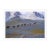 Toni Frissell 'A Pack Trip in Wyoming' Archival Pigment Print Framed in White For Sale