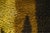 Mid 20th Century Mid 20th Century Abstract Organic Modern Rya Wall Tapestry For Sale - Image 5 of 11