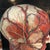 Early 20th Century Anatomical Plaque by New York Scientific Supply Co. For Sale - Image 4 of 7
