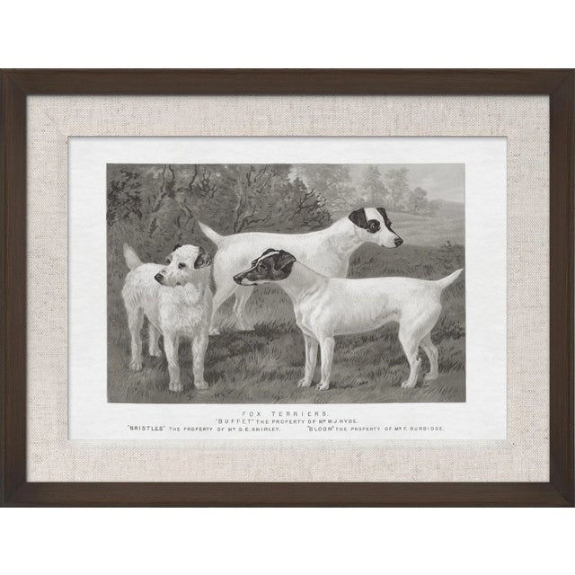 We all love our dogs and this collection allows you to choose all there different breeds that are illustrated from the...