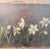 Farmhouse 19th Century Country Primitive Rustic Naive Oil Painting of Narcissus or Daffodil Flowers For Sale - Image 3 of 8