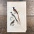 Super high quality in this lovely historical French 18th Century bird engraving! Signed Oudart del and Fournier Sc. Bought...