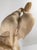 Early 20th Century Alabaster Sculpture of a Woman by Umberto Stiaccini, Florence For Sale - Image 18 of 18