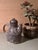 Rustic Studio Ceramic Coffee Pot by Helma Klett, Fredelsloh, Germany, 1970s For Sale - Image 14 of 15