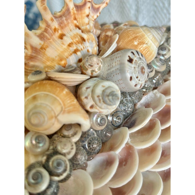 2000 - 2009 Contemporary Large Shell Encrusted Palm Beach Regency Box Attributed to Currey and Company For Sale - Image 5 of 12