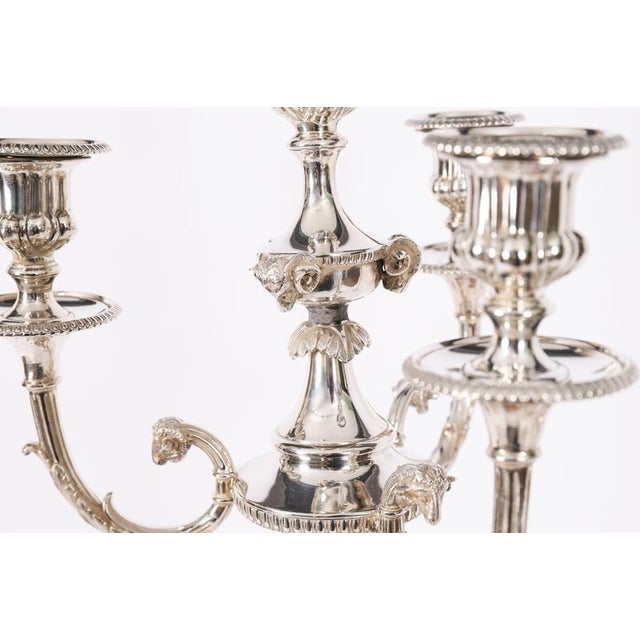 Antique Large Silver Plated Four Light Candelabra, Set of 2 For Sale - Image 5 of 18