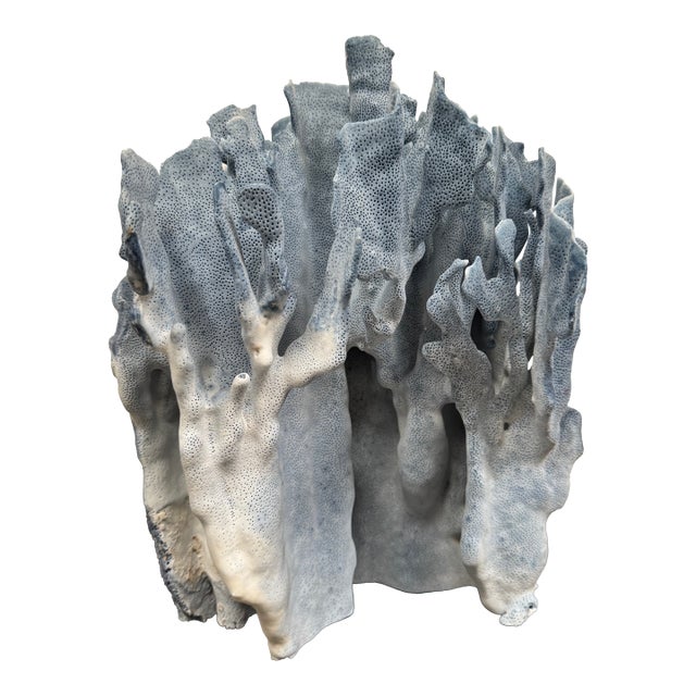 Very Large Specimen of Blue Coral For Sale