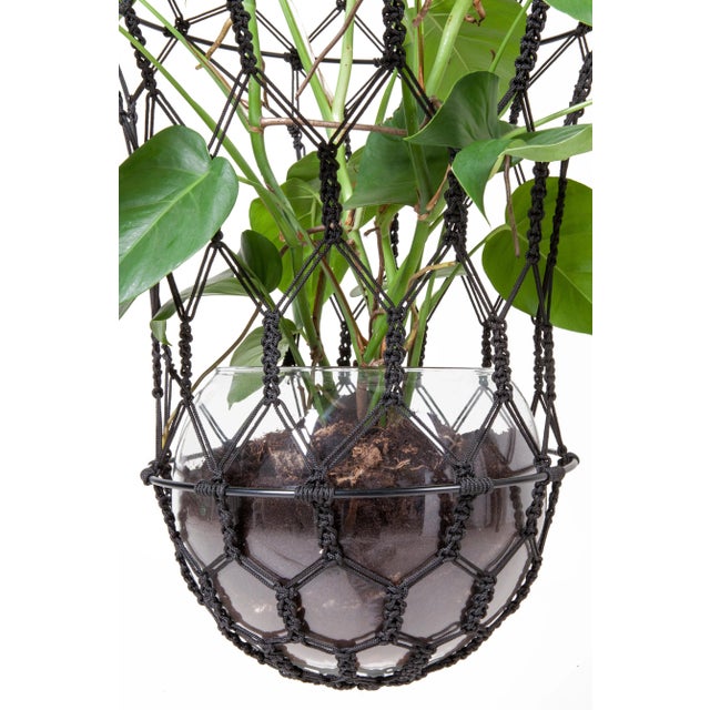 Early 21st Century Lucille Petit Black Flower Cocoon by LLOT LLOV For Sale - Image 5 of 7